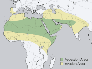 Map of
Locust Distribution